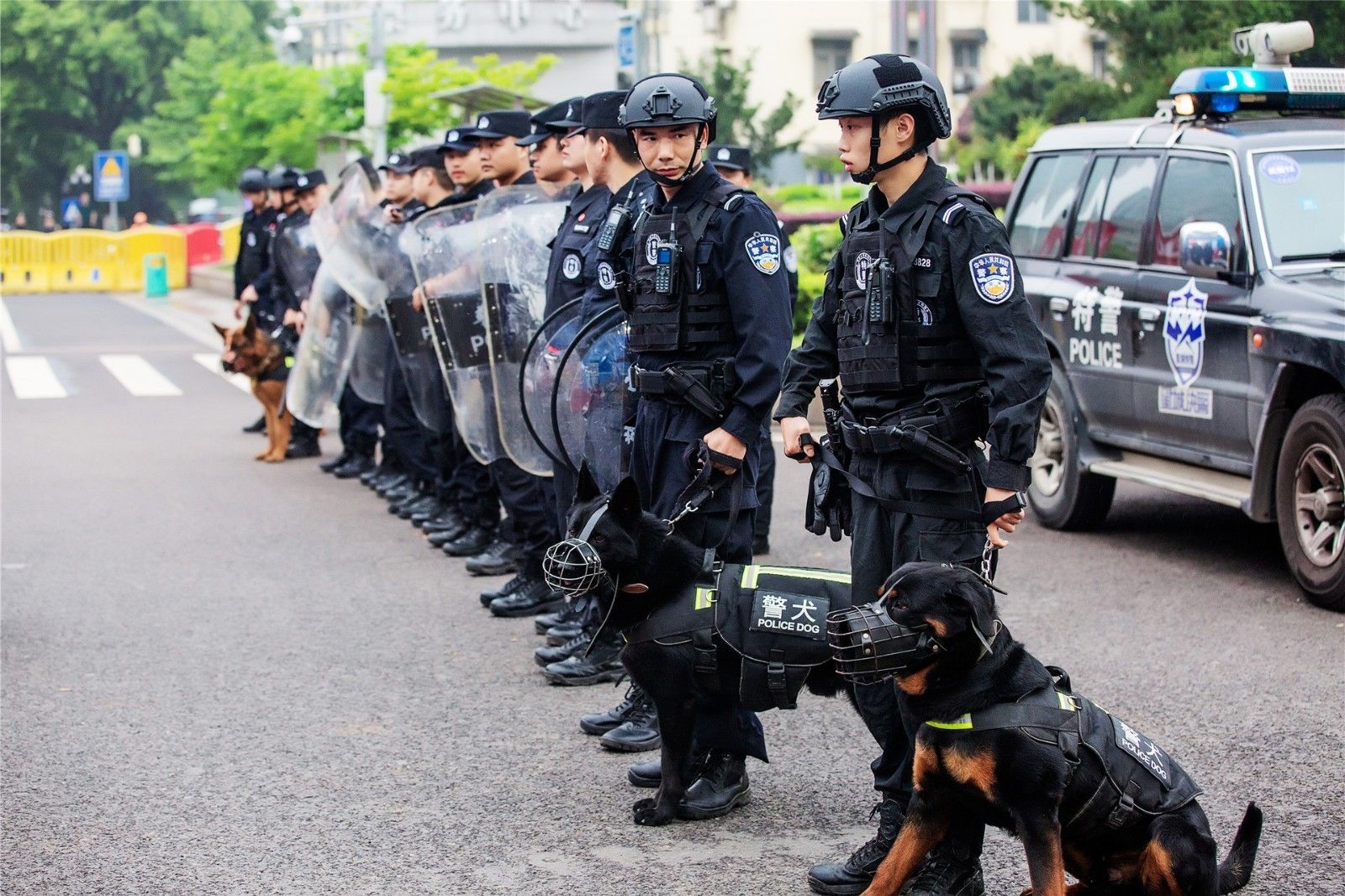 湖南乐鱼体育管理有限公司